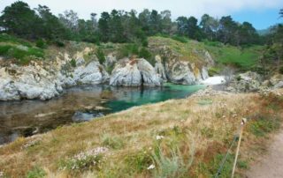 Photo of Bird Island China Cove in Point Lobos State Natural Reserve