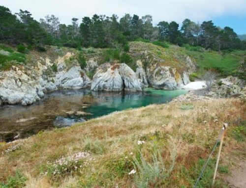 Bird Island Trail