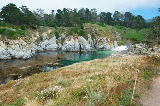 Photo of Bird Island China Cove in Point Lobos State Natural Reserve