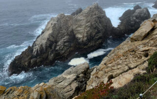 Photo of Point Lobos State Natural Reserve, foggy day on Cypress Grove trail. Photo credit: Donita Grace.
