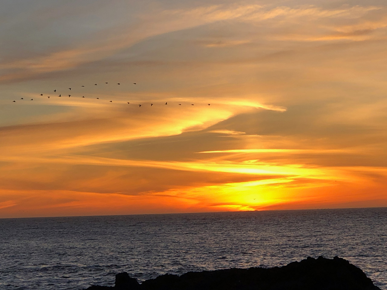 Photo of Point Lobos State Natural Reserve, sunset on South Shore trail. Photo credit: Fred Brown.