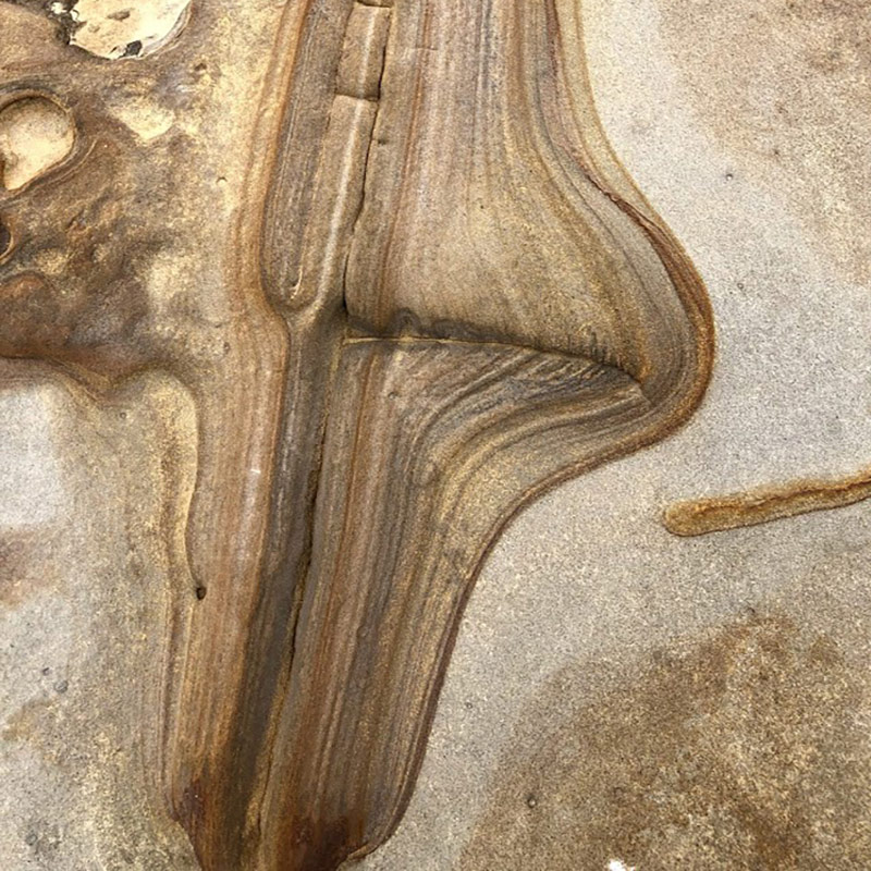 Photo of geology formation in Point Lobos State Natural Reserve. Photo Credit Scott Whitman.