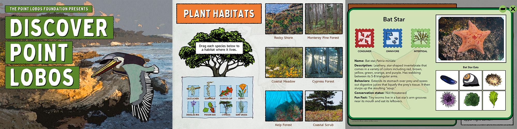 discover-ptl-obos-app Discover Point Lobos App graphic