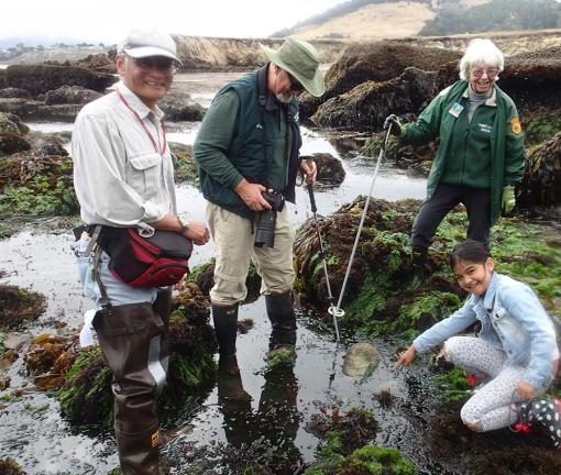 Photo of Moss Cove in Point Lobos State Natural Reserve. Photo credit: Mary Conway.