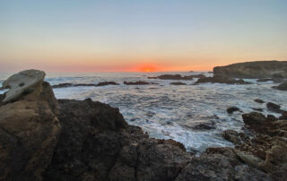 Point Lobos State Natural Reserve moonlight walk