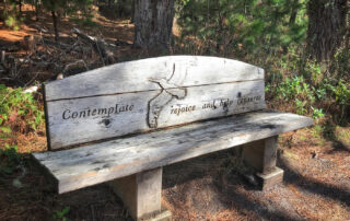 Photo of Point Lobos State Natural Reserve, reflective bench on South Plateau trail. Photo credit: Janet Beaty.