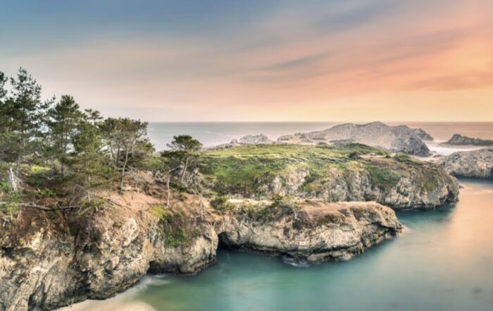 Point Lobos Foundation