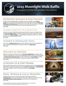 image of raffle description form