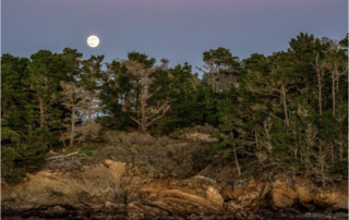 picture of moon over Whalers Cove