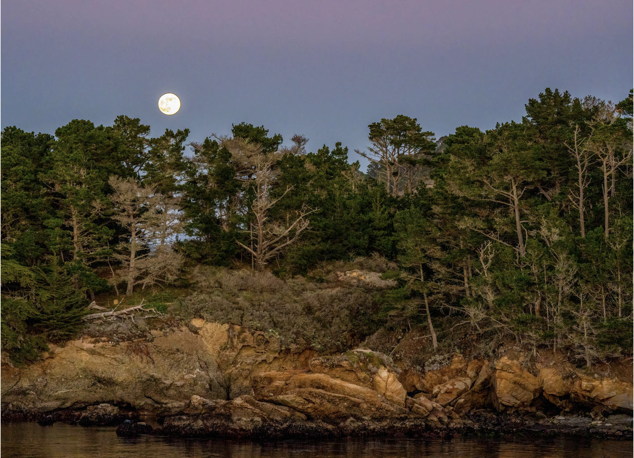 picture of moon over Whalers Cove