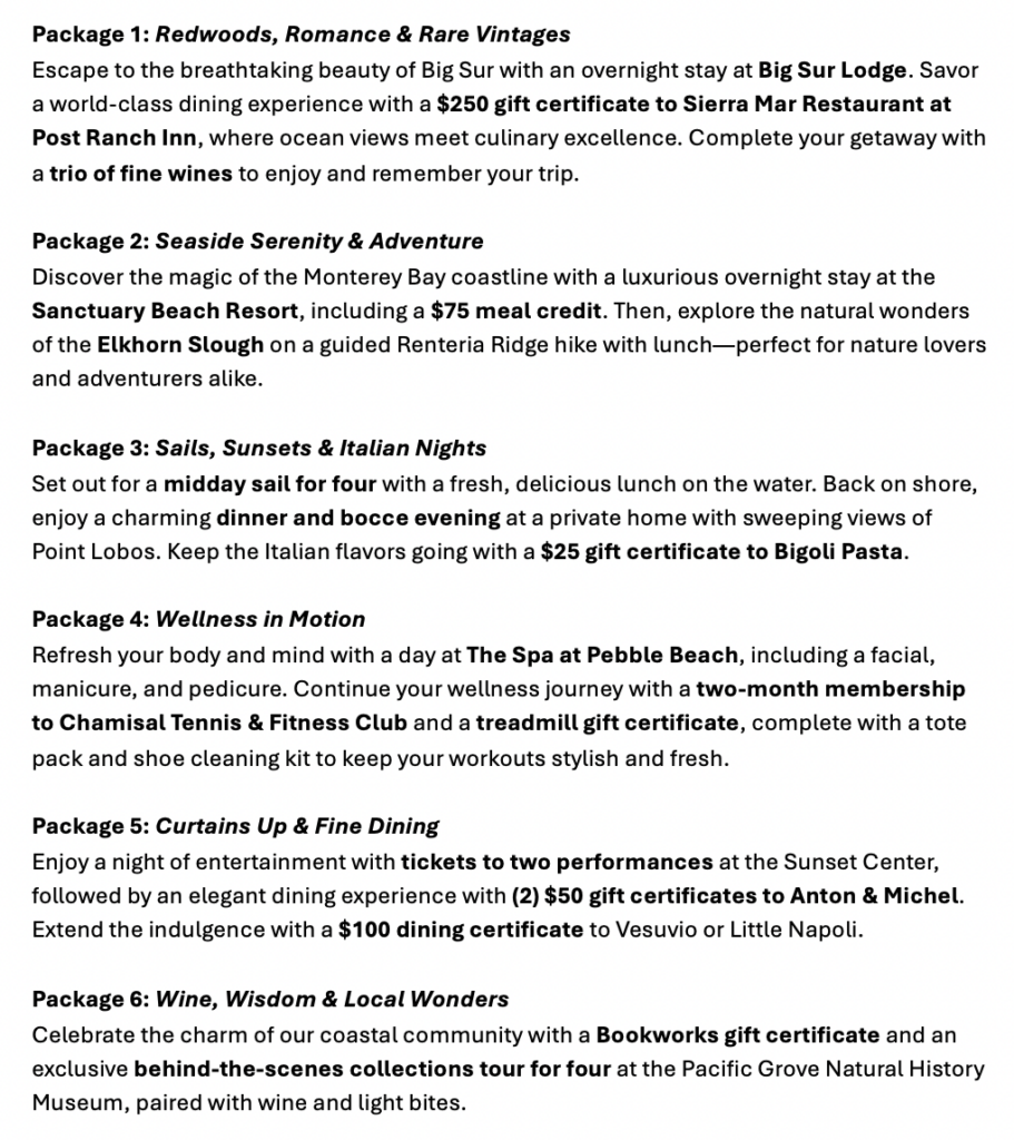 Descriptions of the six raffle prizes available