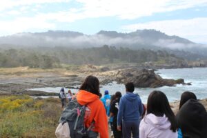 summer adventures at point lobos