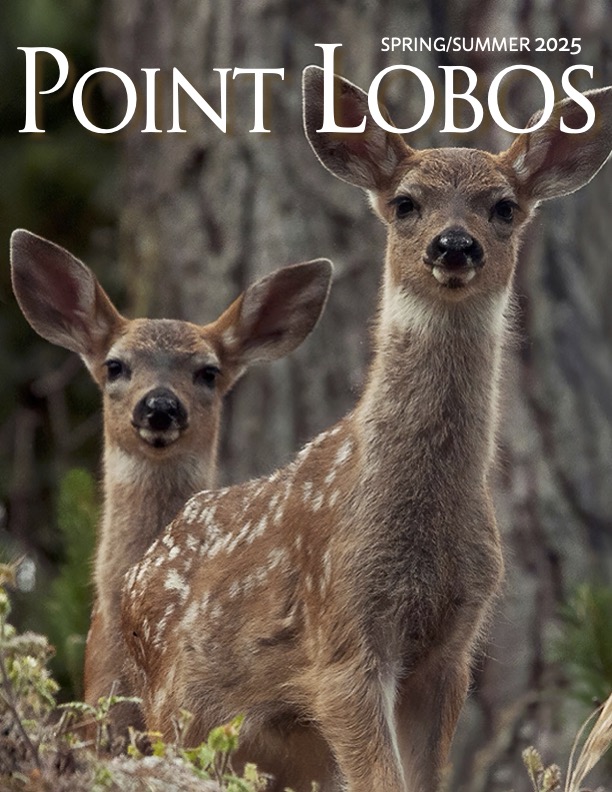 2025 Spring Summer Issue of the Point Lobos Magazine