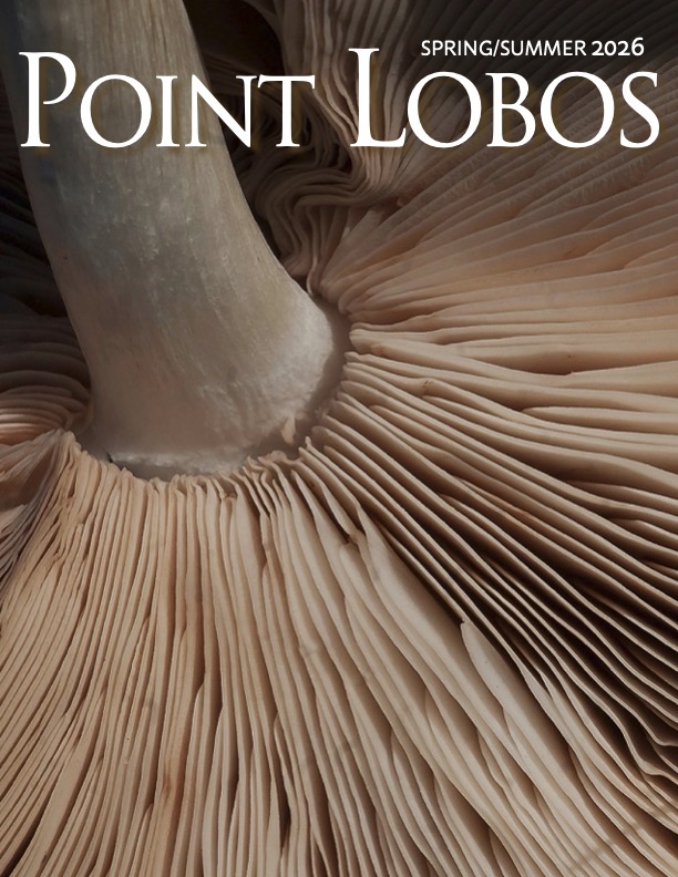 Cover of current issue